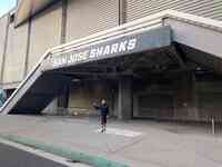 Sharks Pro Shop at SAP Center