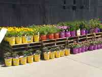 Garden Center at The Home Depot