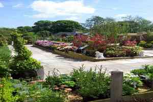 Warbreck Garden Centre