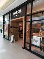 Fossil Store