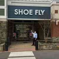 Shoe Fly