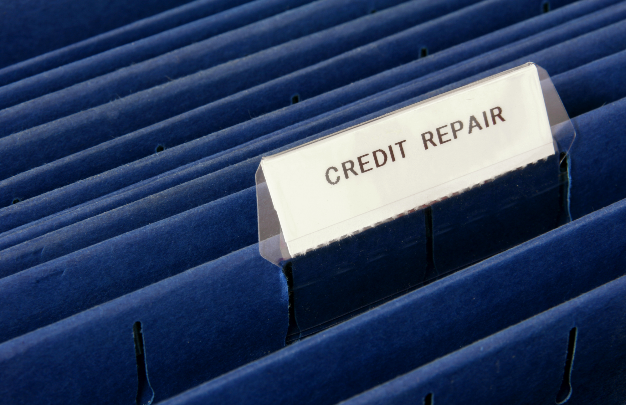Dogwoods Credit Repair Solutions
