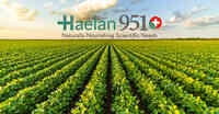 Haelan Products, Inc.