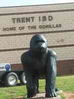 Trent High School