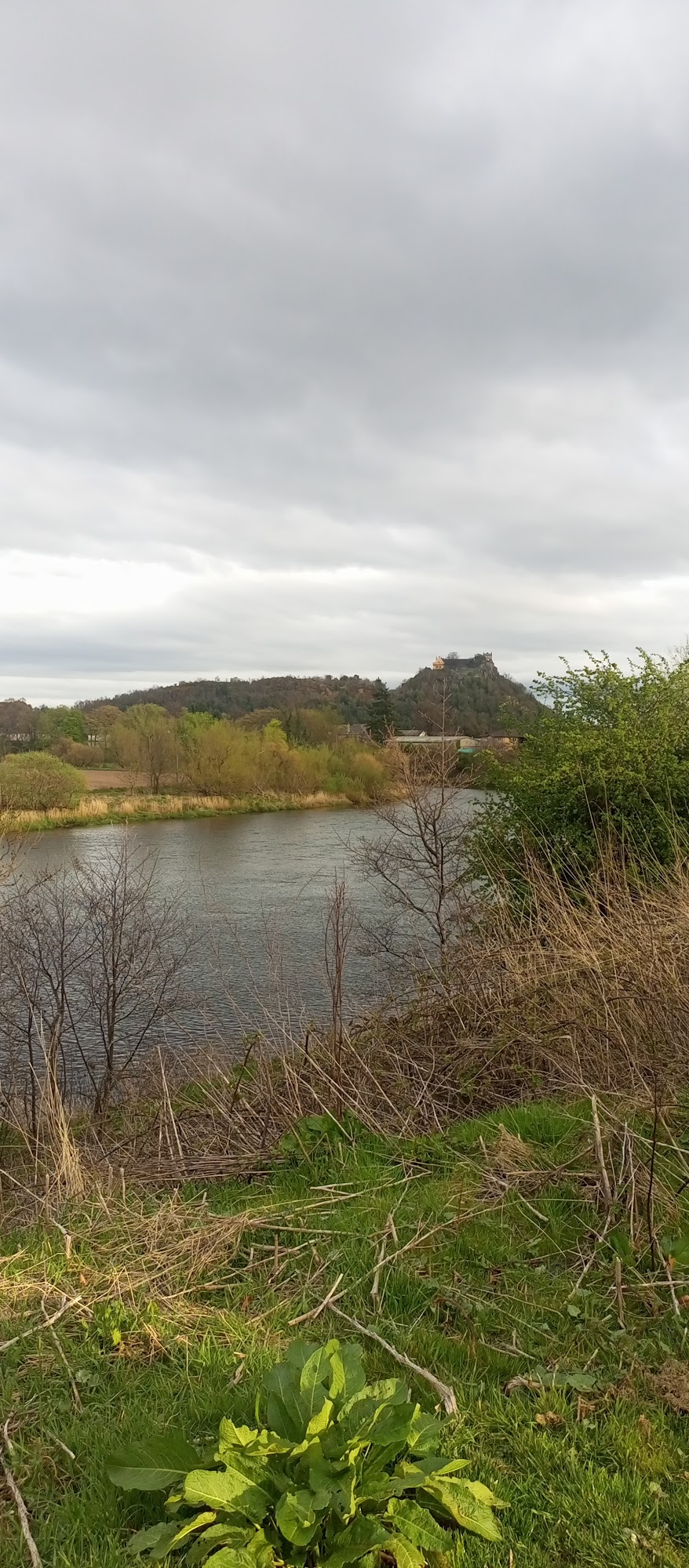 The Ochil View
