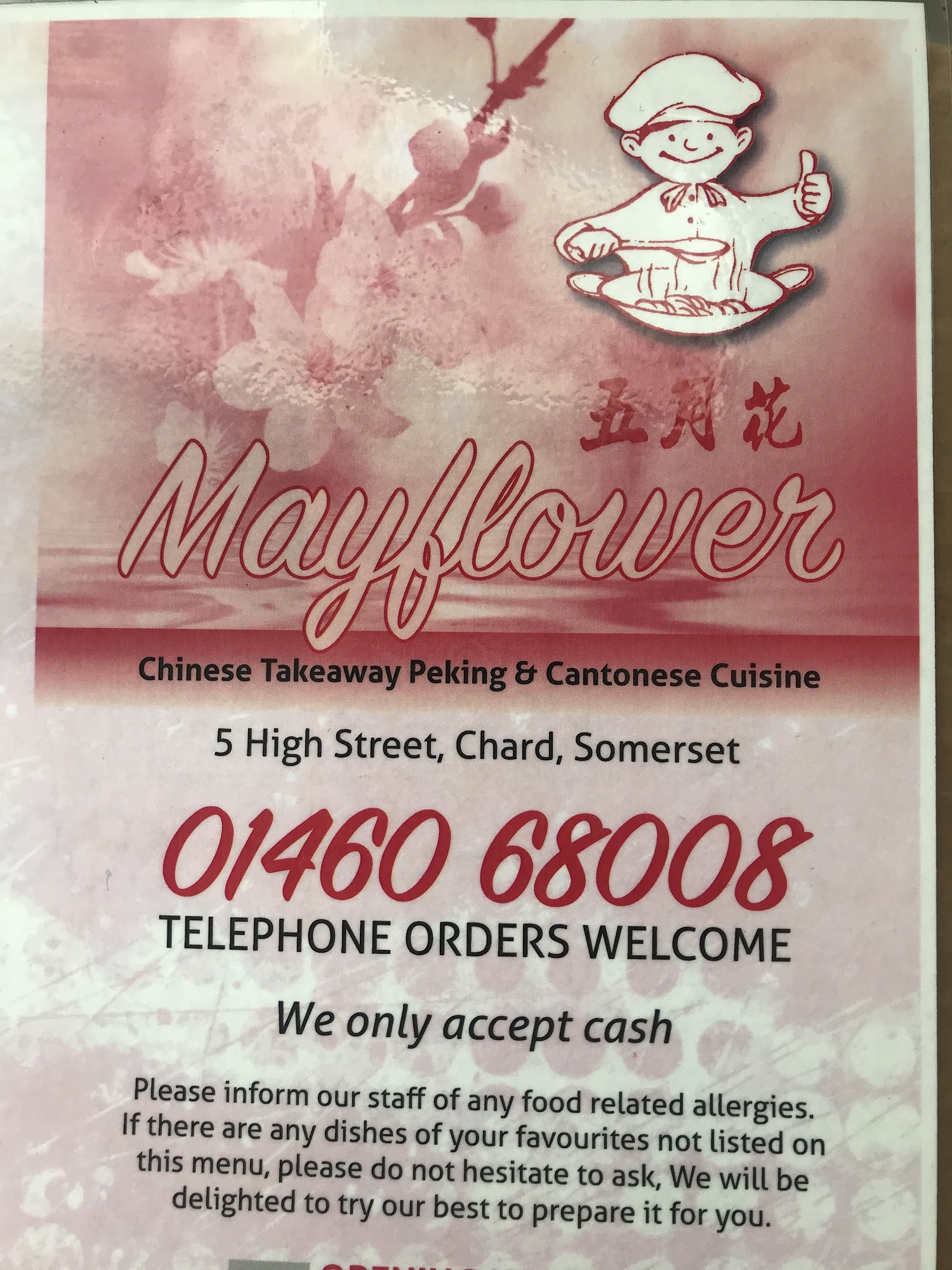 Mayflower chinese Takeaway