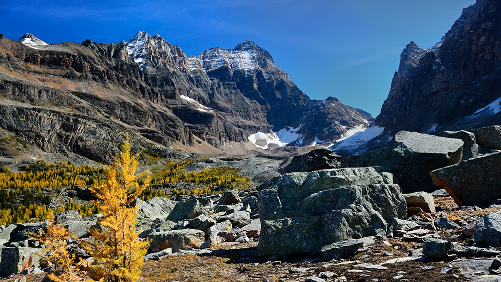 Brian Merry Photography 122 Eagle Crescent Unit C, Banff Alberta T1L 1A2