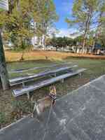 Halliday Skate Park