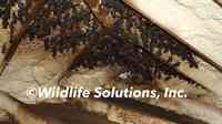 Wildlife Solutions, Inc.