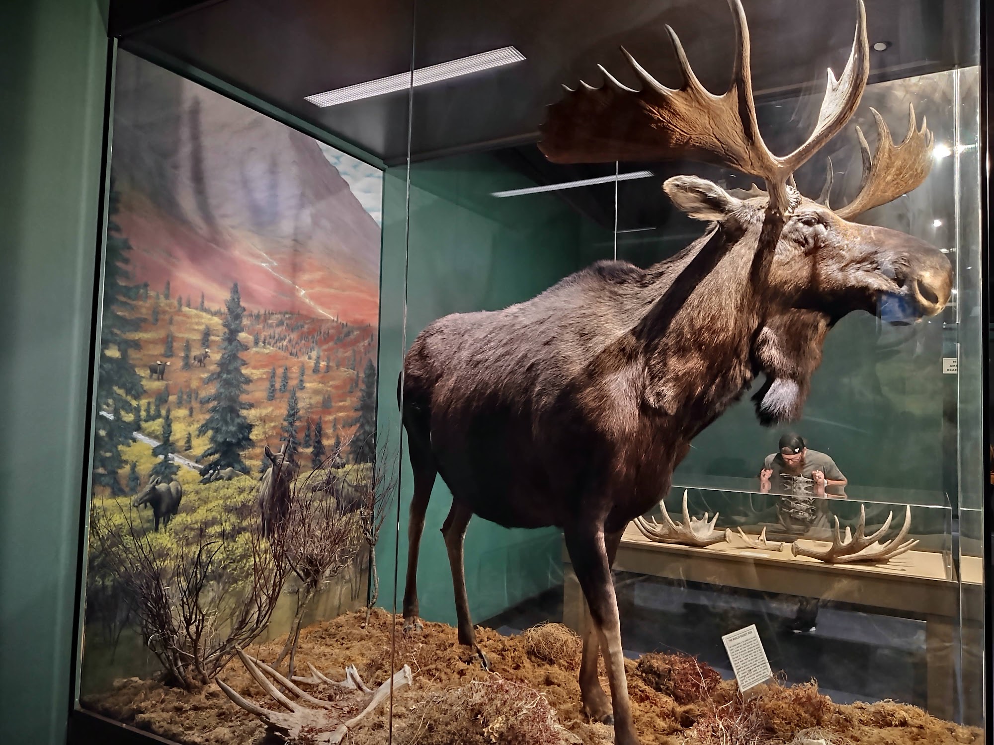 Mann Wildlife Learning Museum