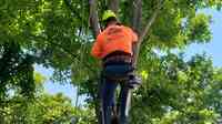 Mike Carroll Tree Service and Construction
