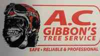 A.C. Gibbon’s Tree Service