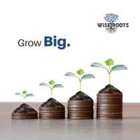 Wise Roots Marketing Agency