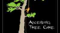 Ascending Tree Care