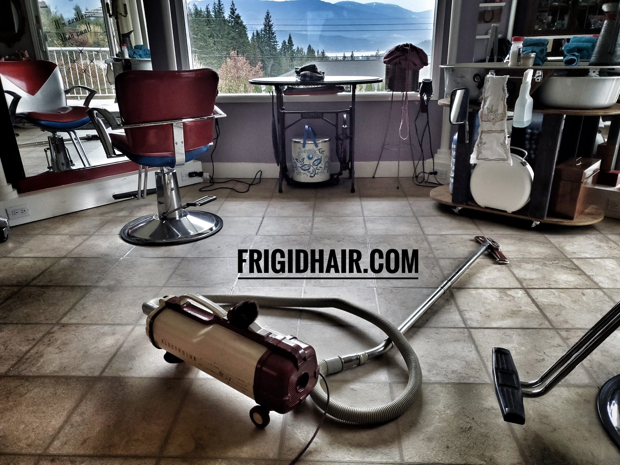 Frigid Hair 2388 Forest View Pl, Blind Bay British Columbia V0E 1H1