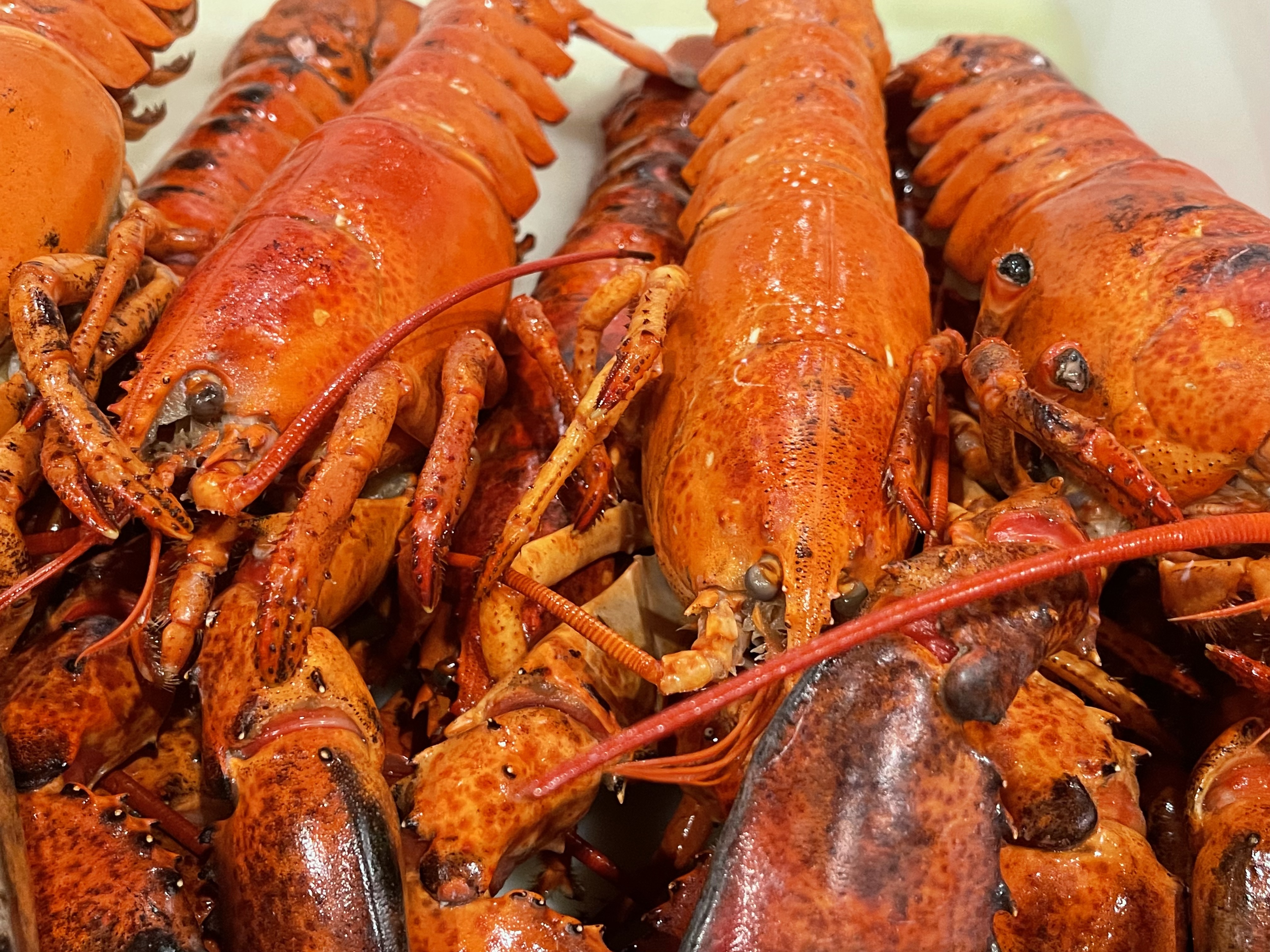 Photo credit: restaurantji