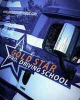 Gold Star Professional Driving School Inc.