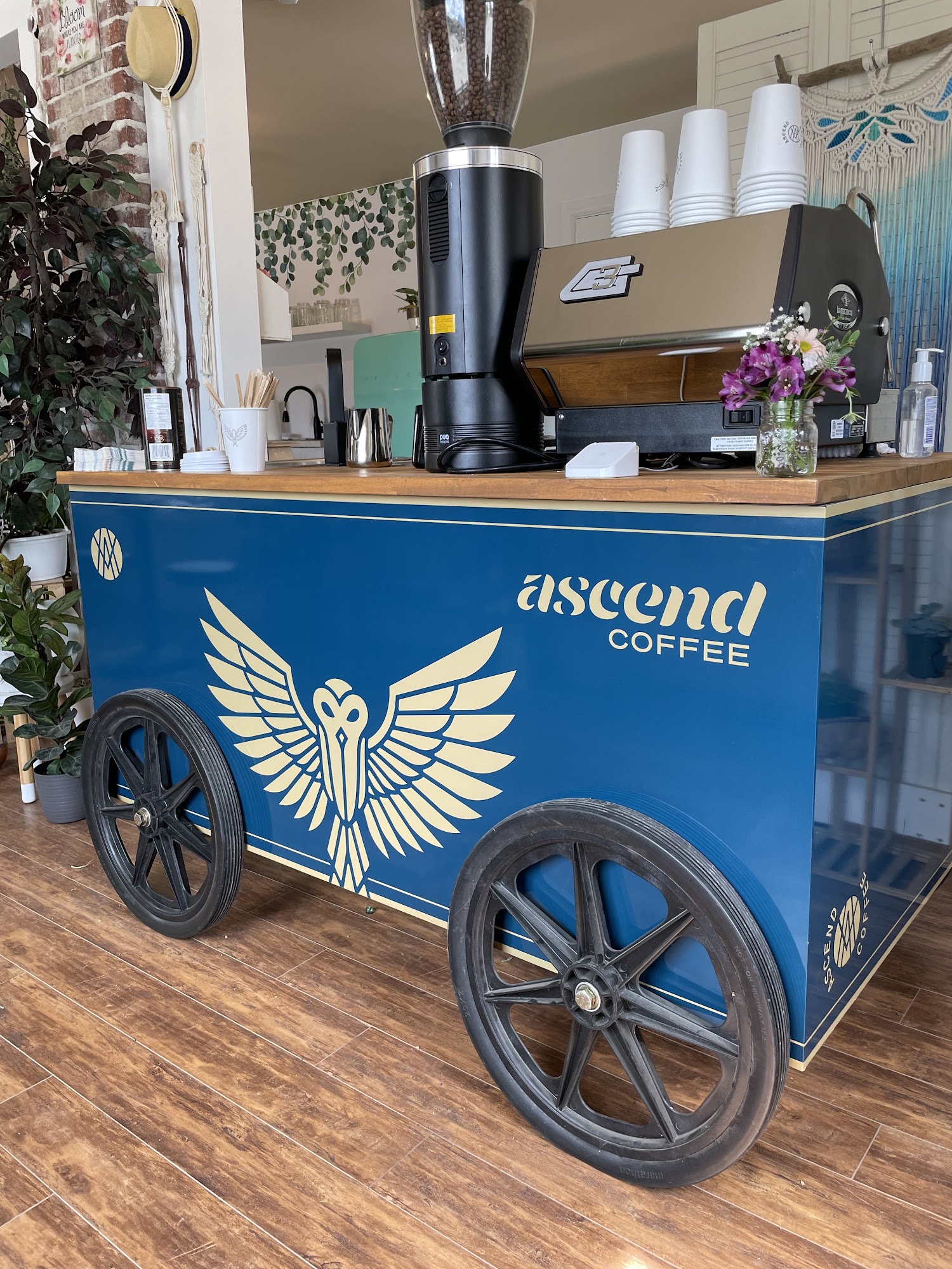 Ascend coffee