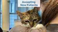 All About Cats Veterinary Clinic