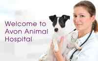 Avon Animal Hospital