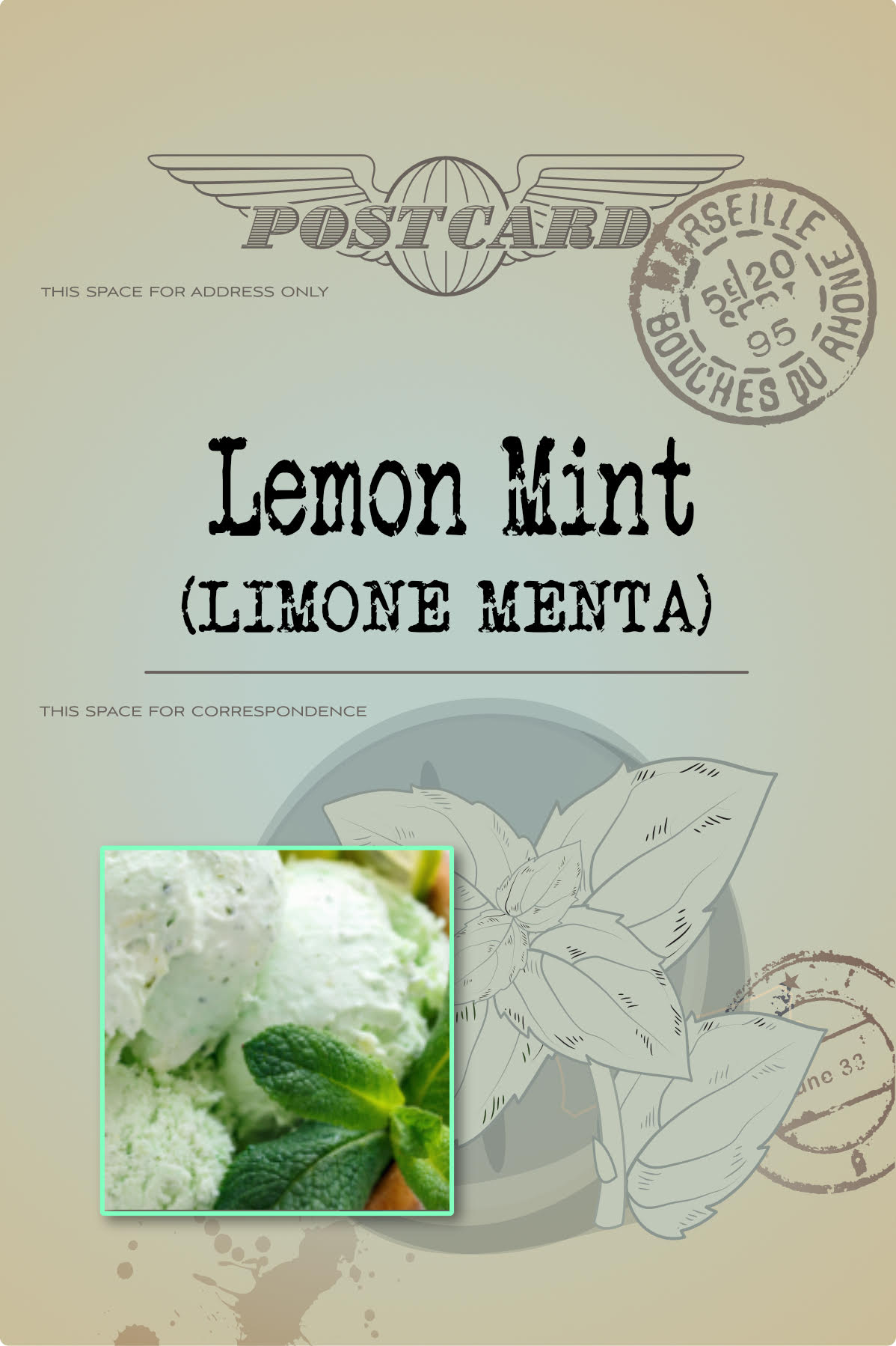 Medzo Gelato Bar Menu