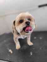 The Soggie Doggie & Company Mobile Pet Grooming