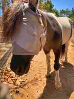 San Luis Rey Equine Hospital