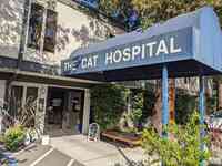 The Cat Hospital