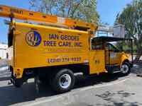 Ian Geddes Tree Care, Inc. | San Jose, Saratoga, Los Gatos.