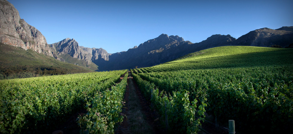 Chateau Sinnet Winery and Vineyards