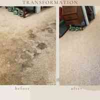 Bio Kleen Carpet and Upholstery Cleaning