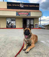 Cal State Dog Supplies