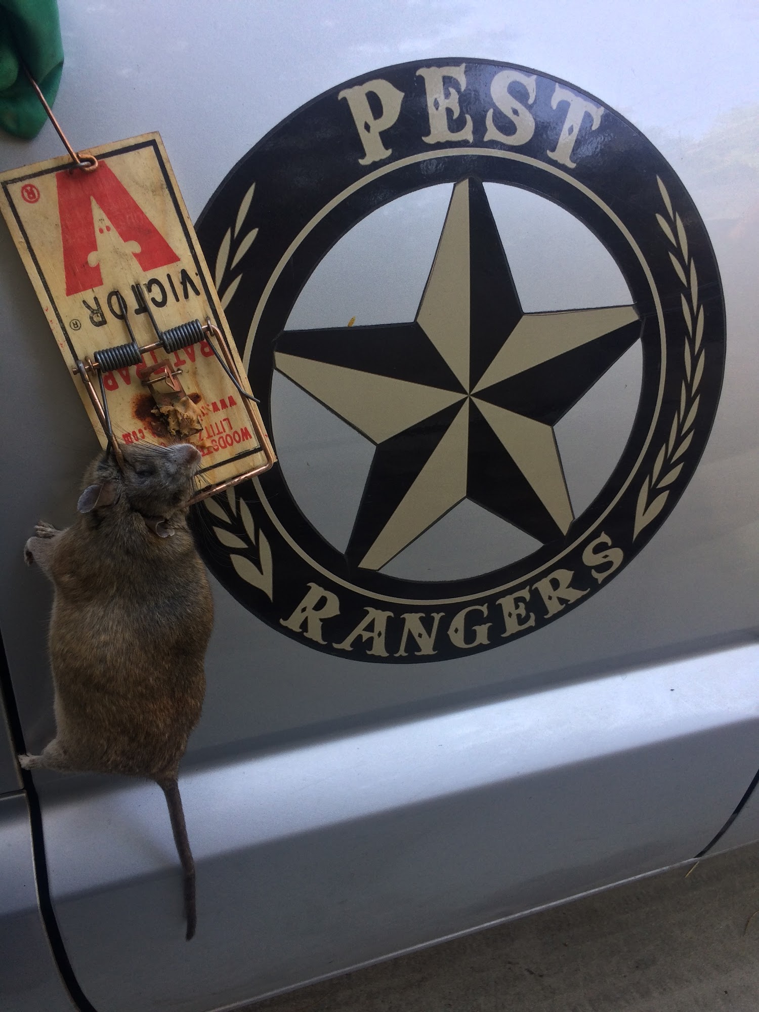 PEST RANGERS
