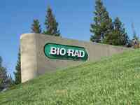 Bio Rad Laboratories