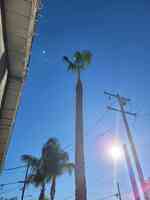 Camacho's Tree Service Inc