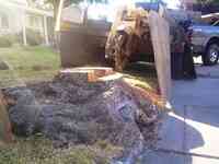 East Bay Stump Removal