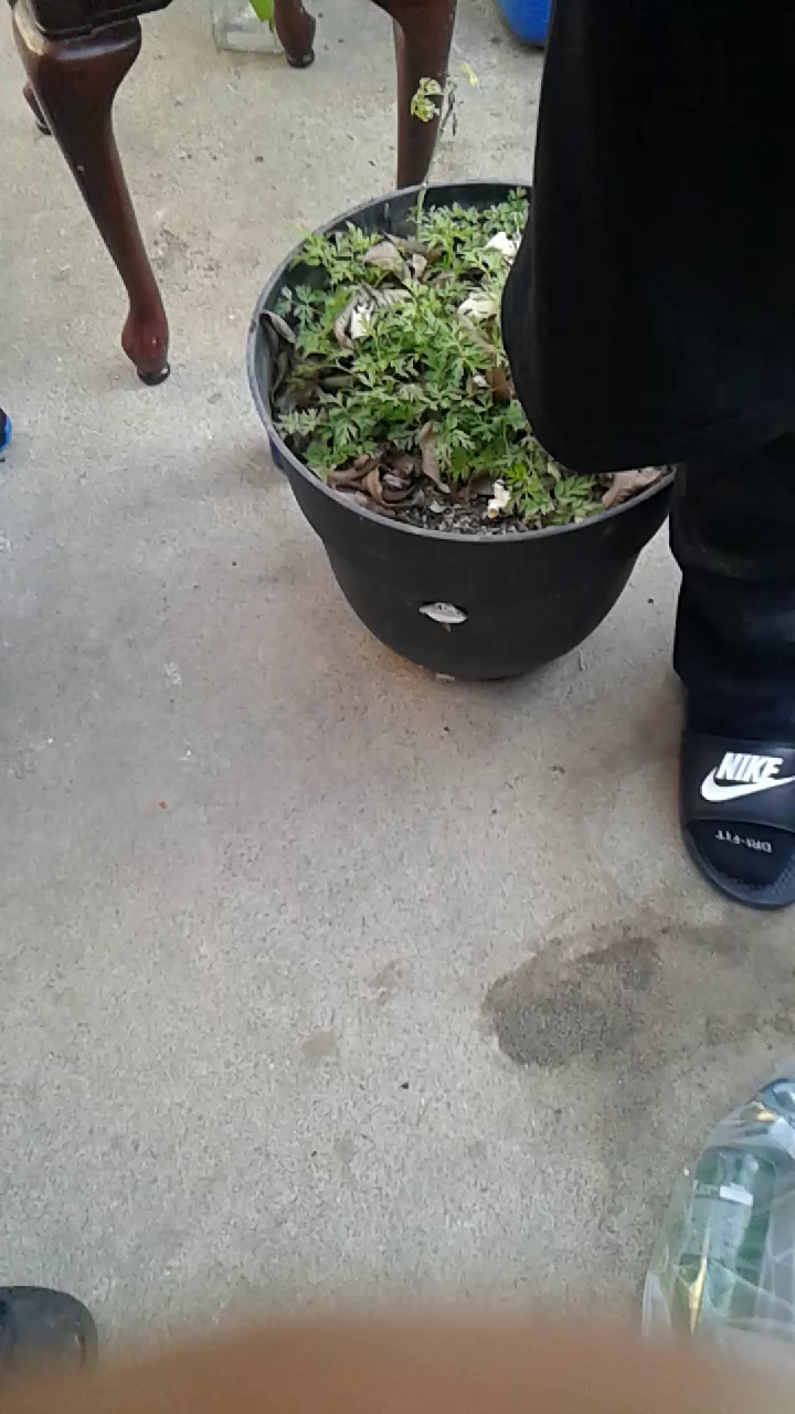 Gaestel Construction Co