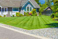 Augusta Lawn Care of Modesto