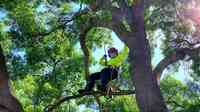 Mackman's Tree Care