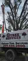 Galvan’s Tree Services