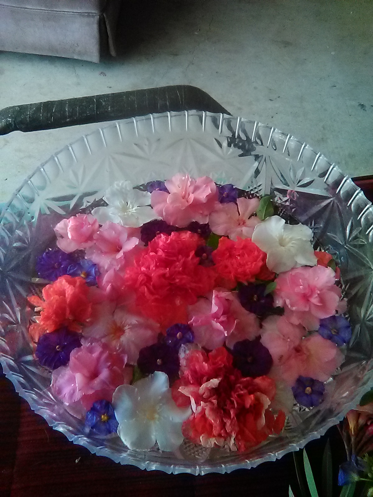 Alberto Luna Construction