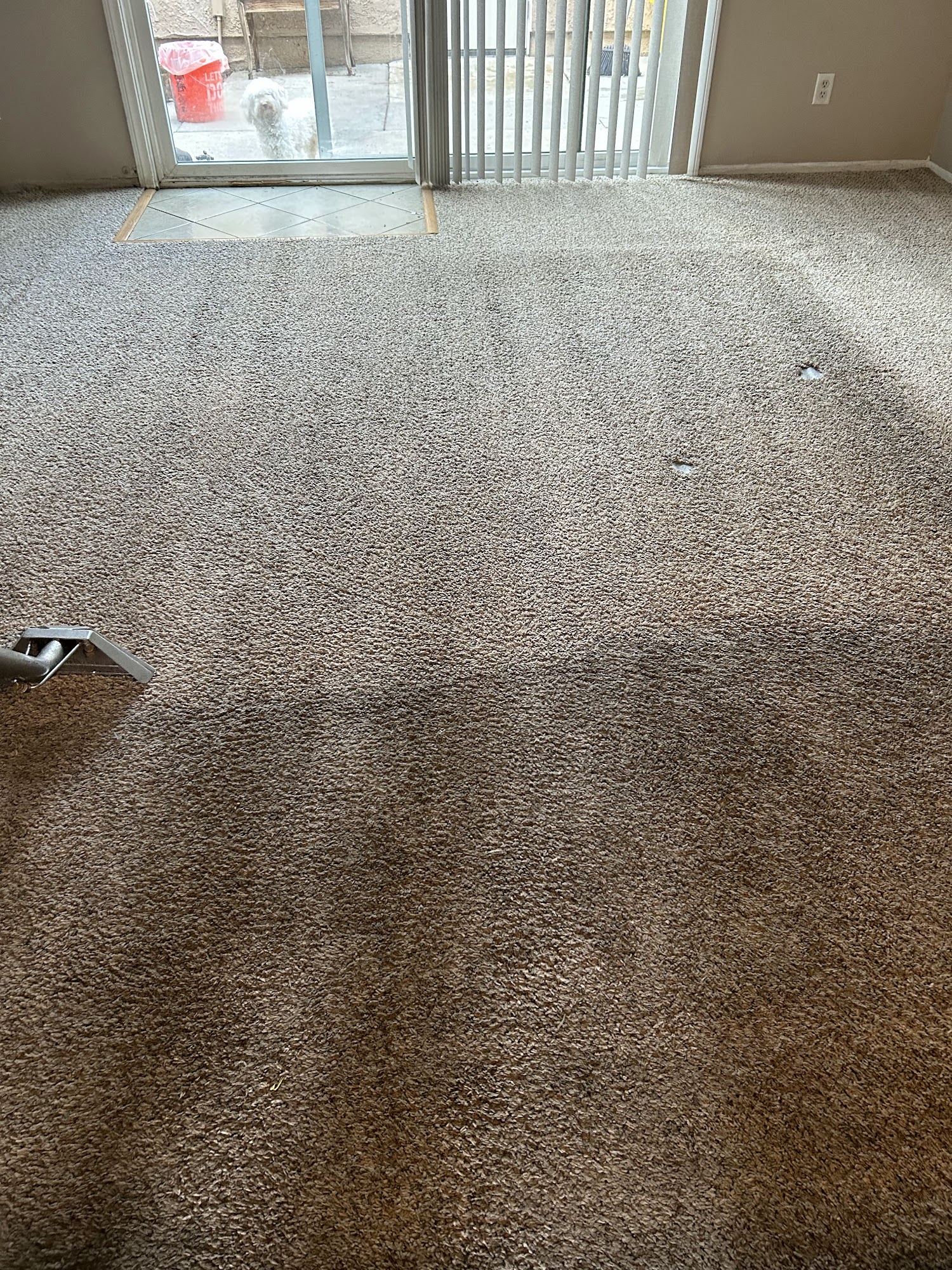 sergio's carpet cleaning