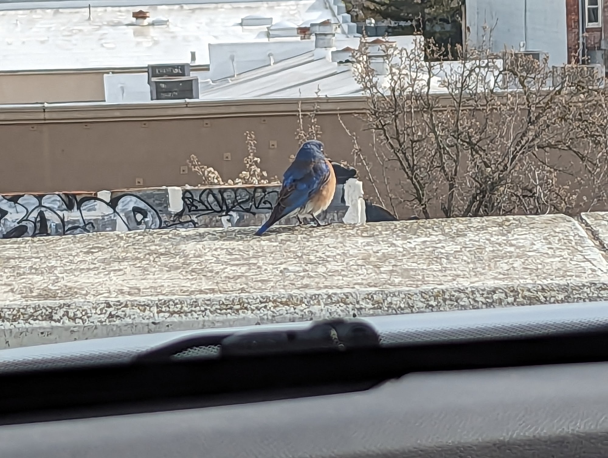 Chinese Medicine & Massage Therapy Center