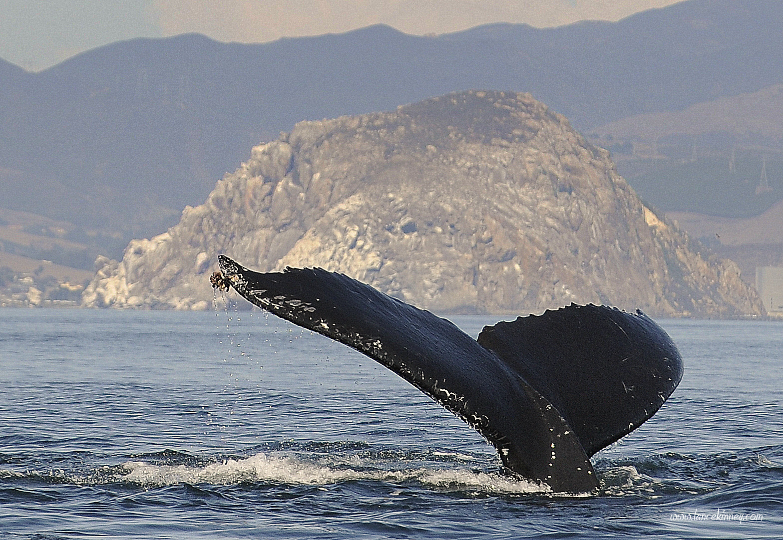 Energetics Business System Inc