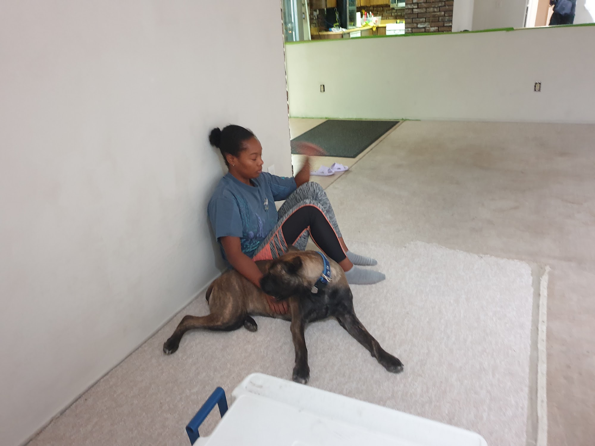 Uncle Mattys Dog Training Placerville