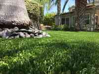 Purchase Green Artificial Grass