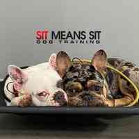 Sit Means Sit Dog Training Rancho Mission Viejo
