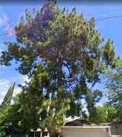 MILLAN TREE SERVICE INC.