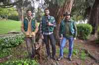 Urban Forestry Associates - Consulting Arborists