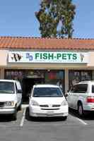 D D Fish & Pets